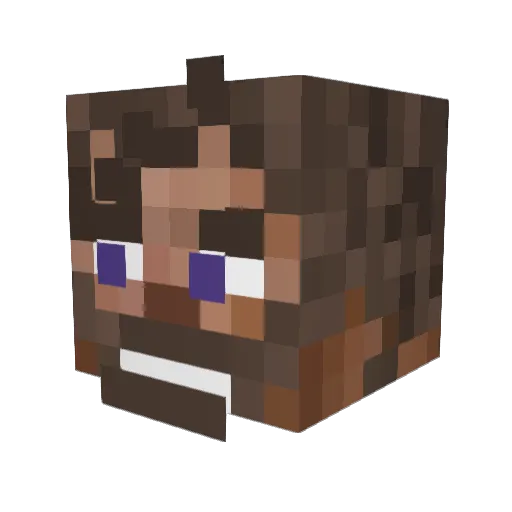 norrkaping Minecraft avatar head, 3D render