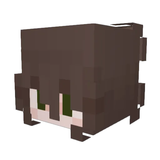 nortuga Minecraft avatar head, 3D render