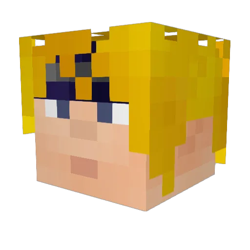 norwaypete Minecraft avatar head, 3D render
