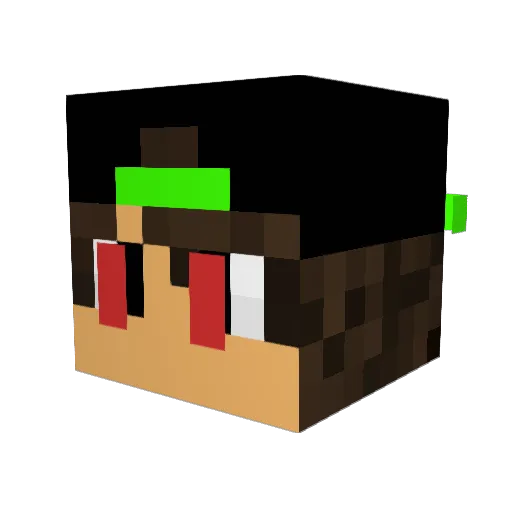 nosajlol Minecraft avatar head, 3D render