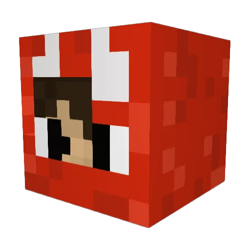 nosauceb Minecraft avatar head, 3D render