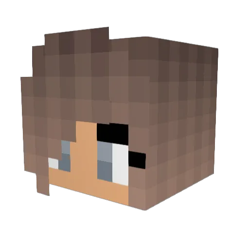 nosename Minecraft avatar head, 3D render