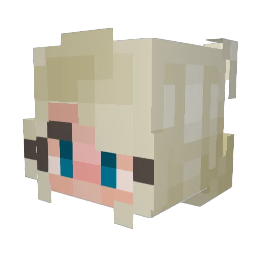 nosferatunights Minecraft avatar head, 3D render