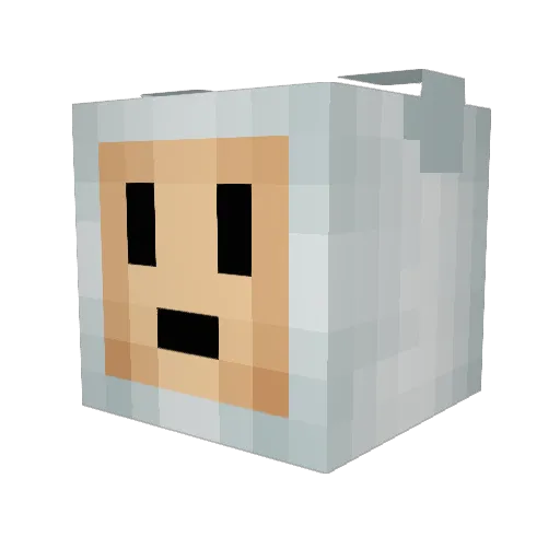 nosilllla Minecraft avatar head, 3D render