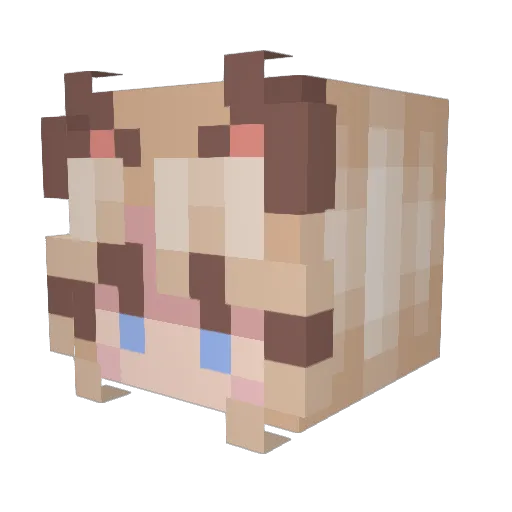 nosinibod Minecraft avatar head, 3D render