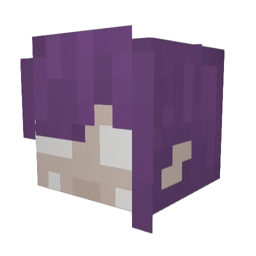 nosolo04 Minecraft avatar head, 3D render