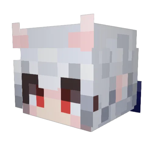 nosoyFranVT Minecraft avatar head, 3D render