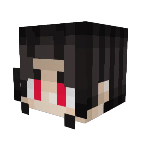 nostradamus0 Minecraft avatar head, 3D render