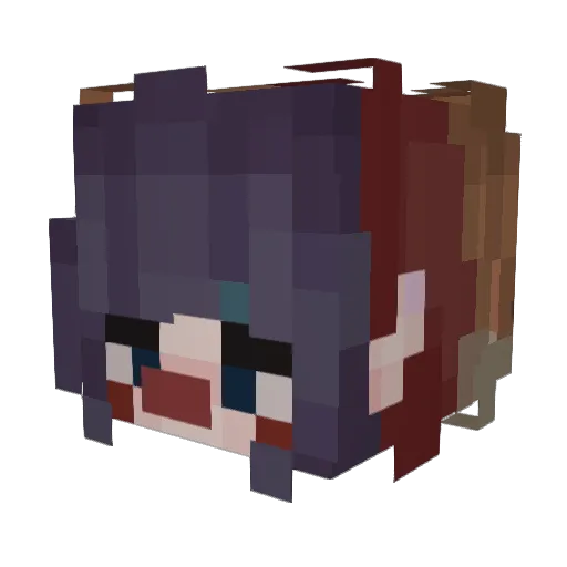 nostrangertoyou Minecraft avatar head, 3D render