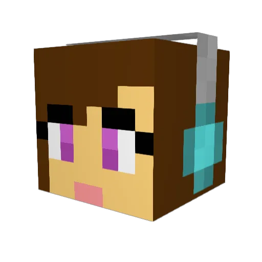 nosunlightplz Minecraft avatar head, 3D render