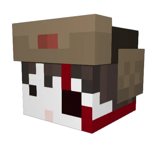 noswag4 Minecraft avatar head, 3D render
