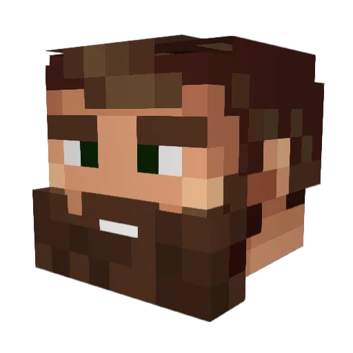 not2creative96 Minecraft avatar head, 3D render