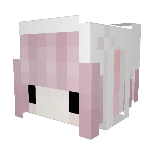 not4radio Minecraft avatar head, 3D render