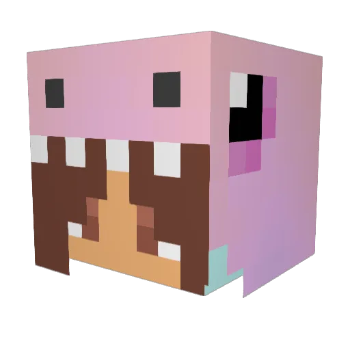 notBellzz Minecraft avatar head, 3D render