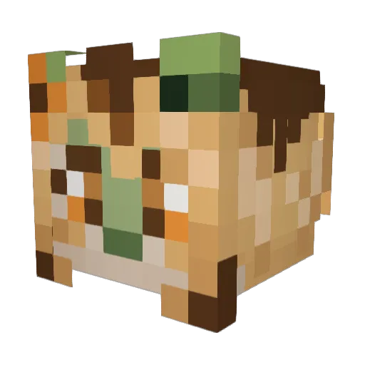 notDarkly Minecraft avatar head, 3D render