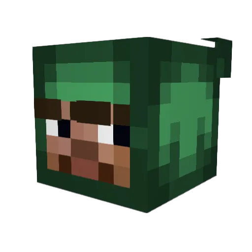 notEUA Minecraft avatar head, 3D render