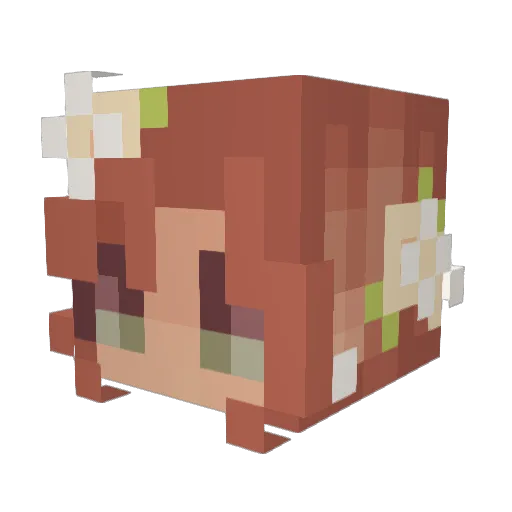 notEyelid Minecraft avatar head, 3D render