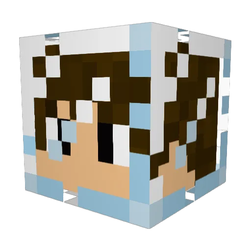 notMLGpro Minecraft avatar head, 3D render