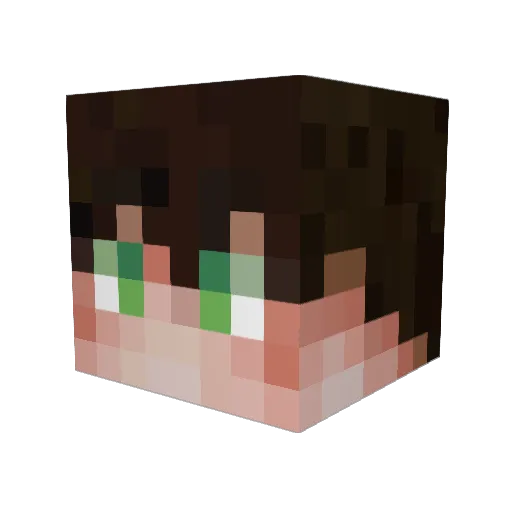 notOle007 Minecraft avatar head, 3D render