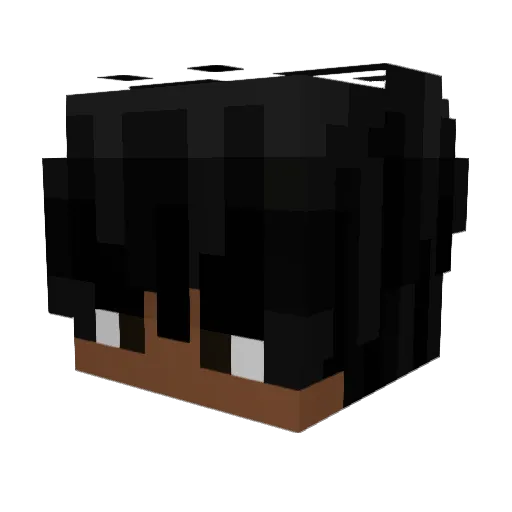 notTORYY Minecraft avatar head, 3D render