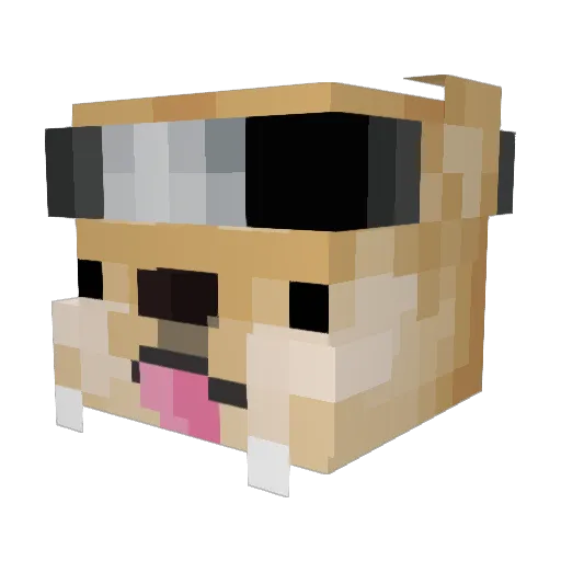 not_Bartek Minecraft avatar head, 3D render