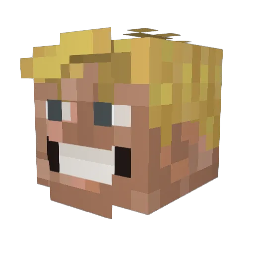 not_Bonas Minecraft avatar head, 3D render