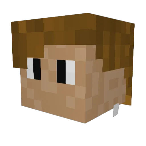 not_ConArtist Minecraft avatar head, 3D render