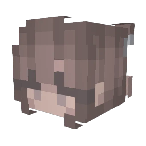 not_DS Minecraft avatar head, 3D render