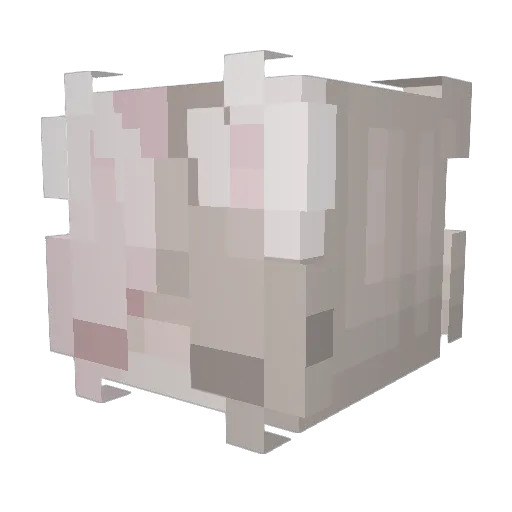 not_aumii Minecraft avatar head, 3D render