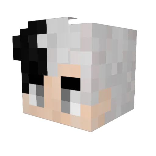 not_hiatus Minecraft avatar head, 3D render