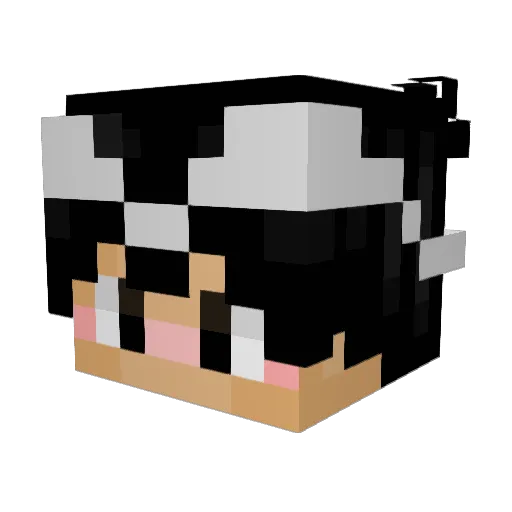 not_inki Minecraft avatar head, 3D render
