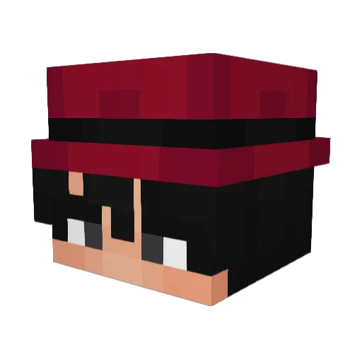 not_joe1 Minecraft avatar head, 3D render