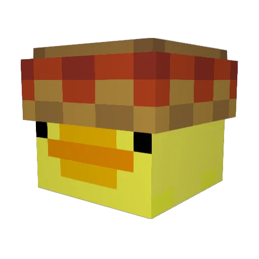 not_plasm Minecraft avatar head, 3D render