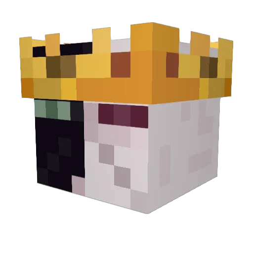 not_ranboo Minecraft avatar head, 3D render