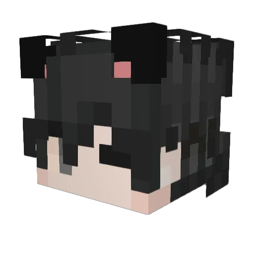 not_s0ur Minecraft avatar head, 3D render