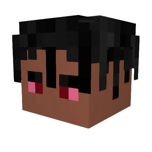 not_sebamocaca Minecraft avatar head, 3D render