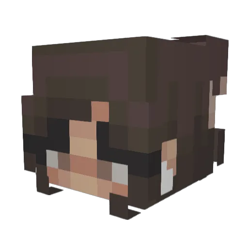 not_st4rr Minecraft avatar head, 3D render