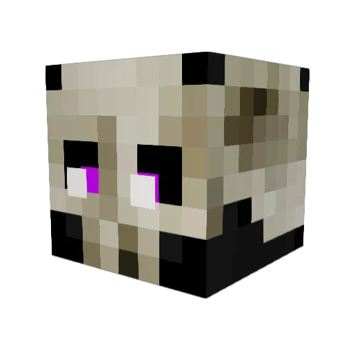 not_stevie_ Minecraft avatar head, 3D render
