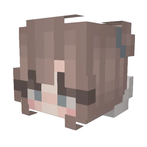 not_tessa Minecraft avatar head, 3D render