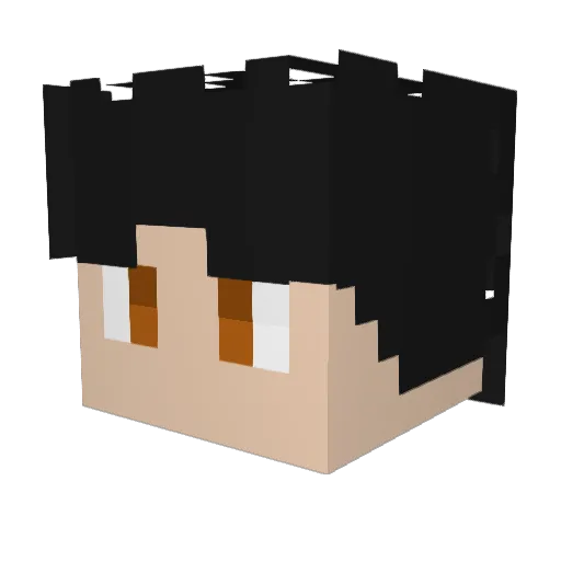 not_tgboy Minecraft avatar head, 3D render