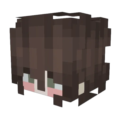 not_to_disappear Minecraft avatar head, 3D render