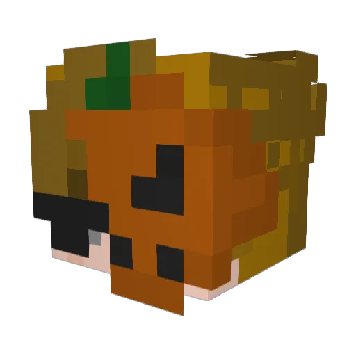 not_ximon Minecraft avatar head, 3D render