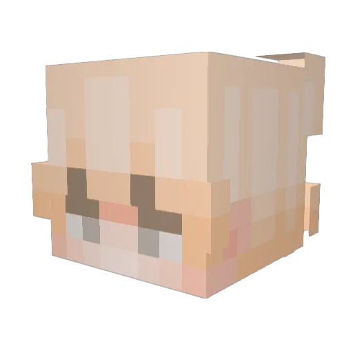 not_yno Minecraft avatar head, 3D render