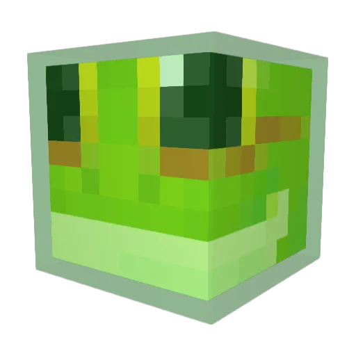 notafrogo Minecraft avatar head, 3D render