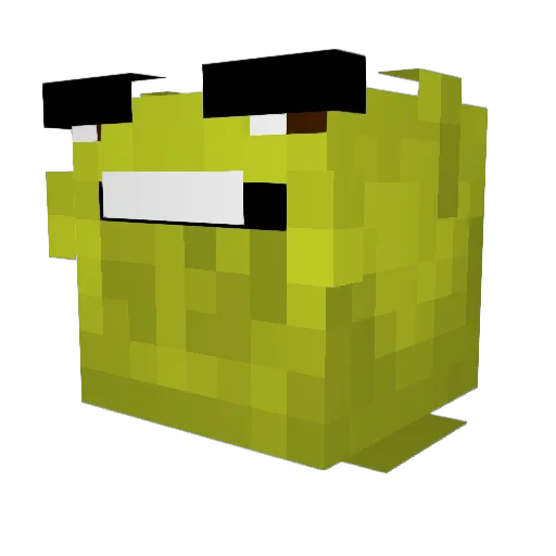 notagirl2020 Minecraft avatar head, 3D render
