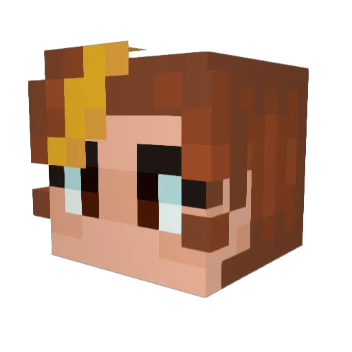 notahellraiser Minecraft avatar head, 3D render