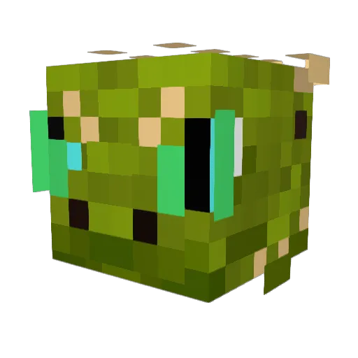 notalizard69 Minecraft avatar head, 3D render