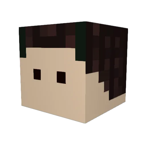 notanickatall Minecraft avatar head, 3D render