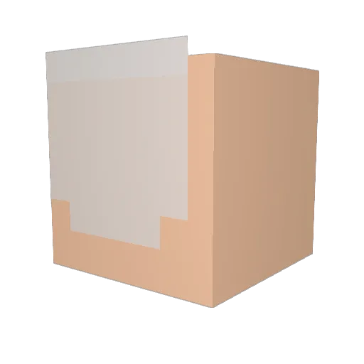 notanutsa Minecraft avatar head, 3D render
