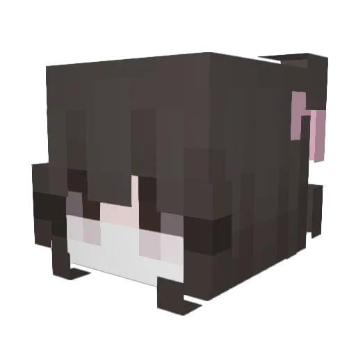 notari3315 Minecraft avatar head, 3D render
